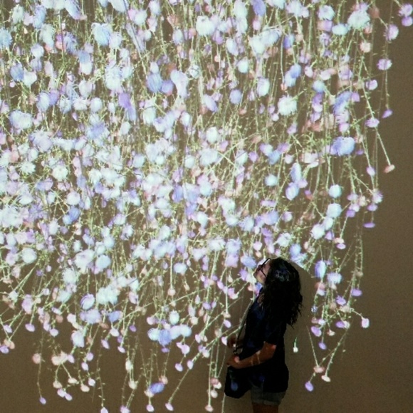 Meet your Posher, Sunshine - Picture 1 of 1